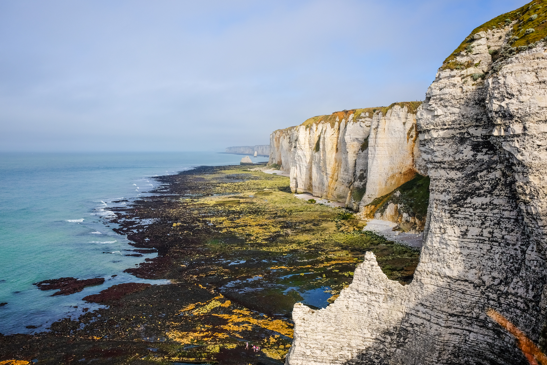 Limestone cliffs and rocks along the coast of Étretat at low tide with visible seabed and calm sea in the background