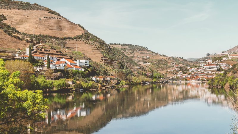 Douro River Cruise: Douro Experience 2025