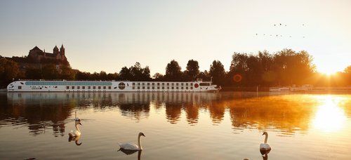 Rhine Mini Cruise Netherlands 2024 - BASIC