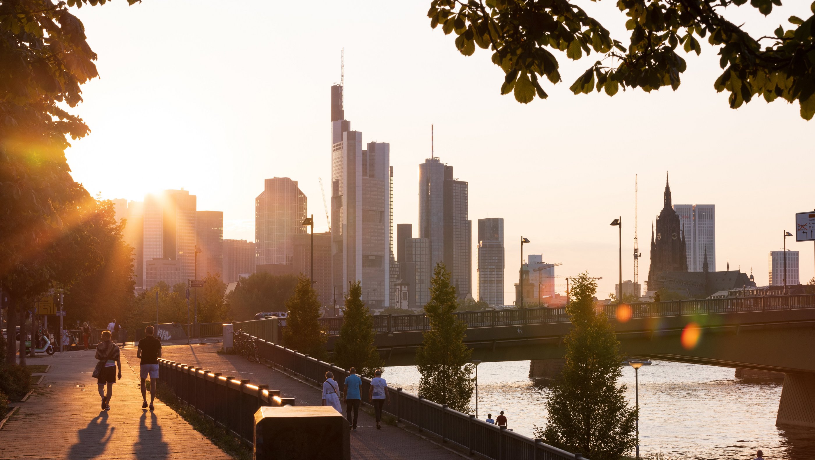 Main Discovery Cruise: Main River Discovery Frankfurt - Nuremberg 2025