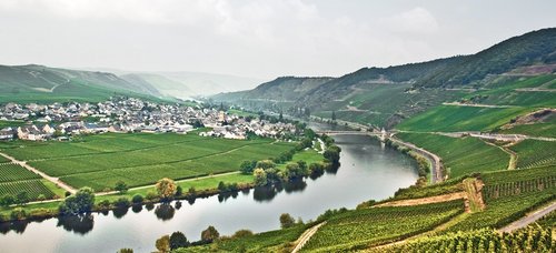 Flussschlinge Mosel mit A-ROSA entdecken