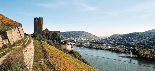 Rüdesheim mit A-ROSA entdecken