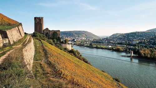 Rüdesheim mit A-ROSA entdecken