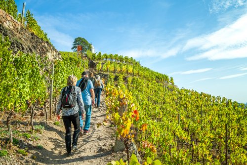 Rhône Region mit A-ROSA erleben